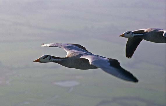 photographie aerienne