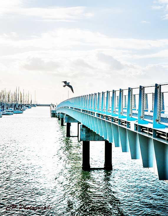 photographie-La Rochelle-cedric-poyet 