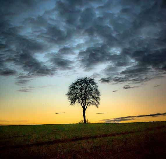 cedric-poyet-photographe-paysage-vendee