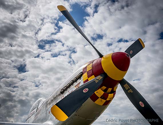 photographie-warbird-p-51-mustang 